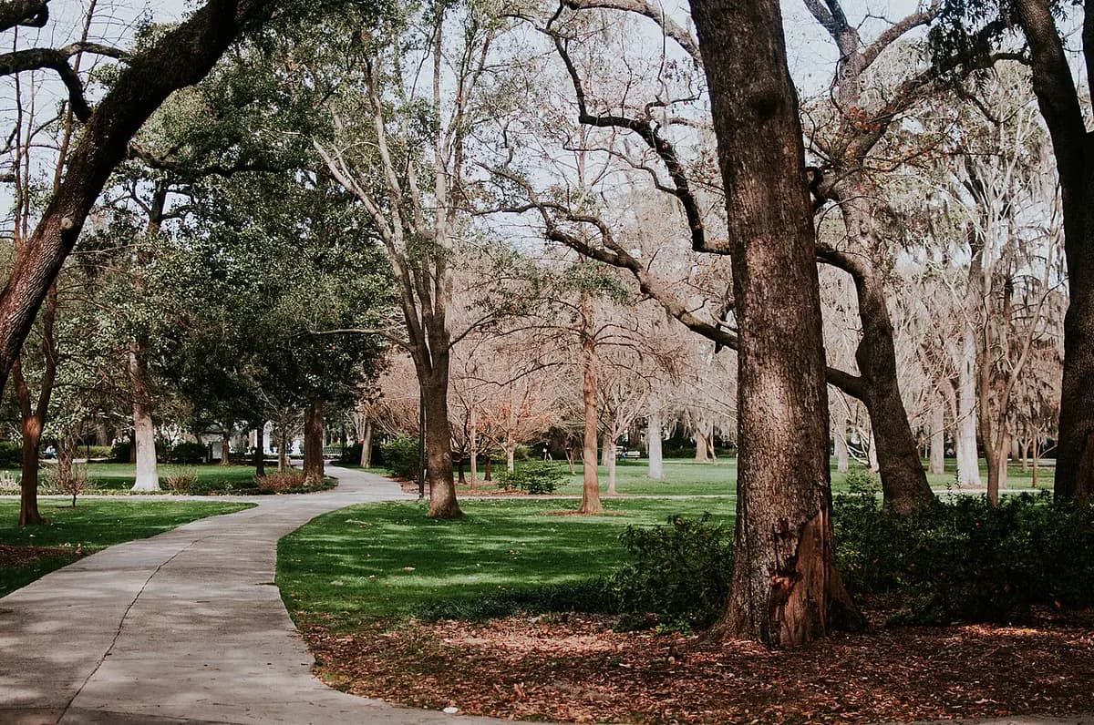 Oak-lined paths and the fountain in Forsyth Park, Savannah